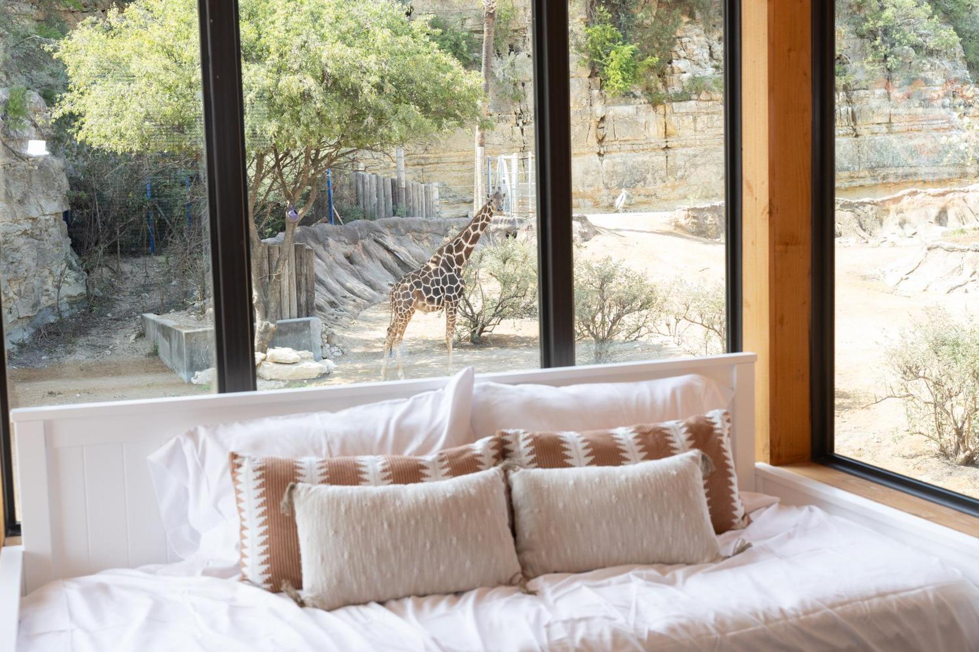 San Antonio Zoo - Spekboom Giraffe Lodge Exterior foto