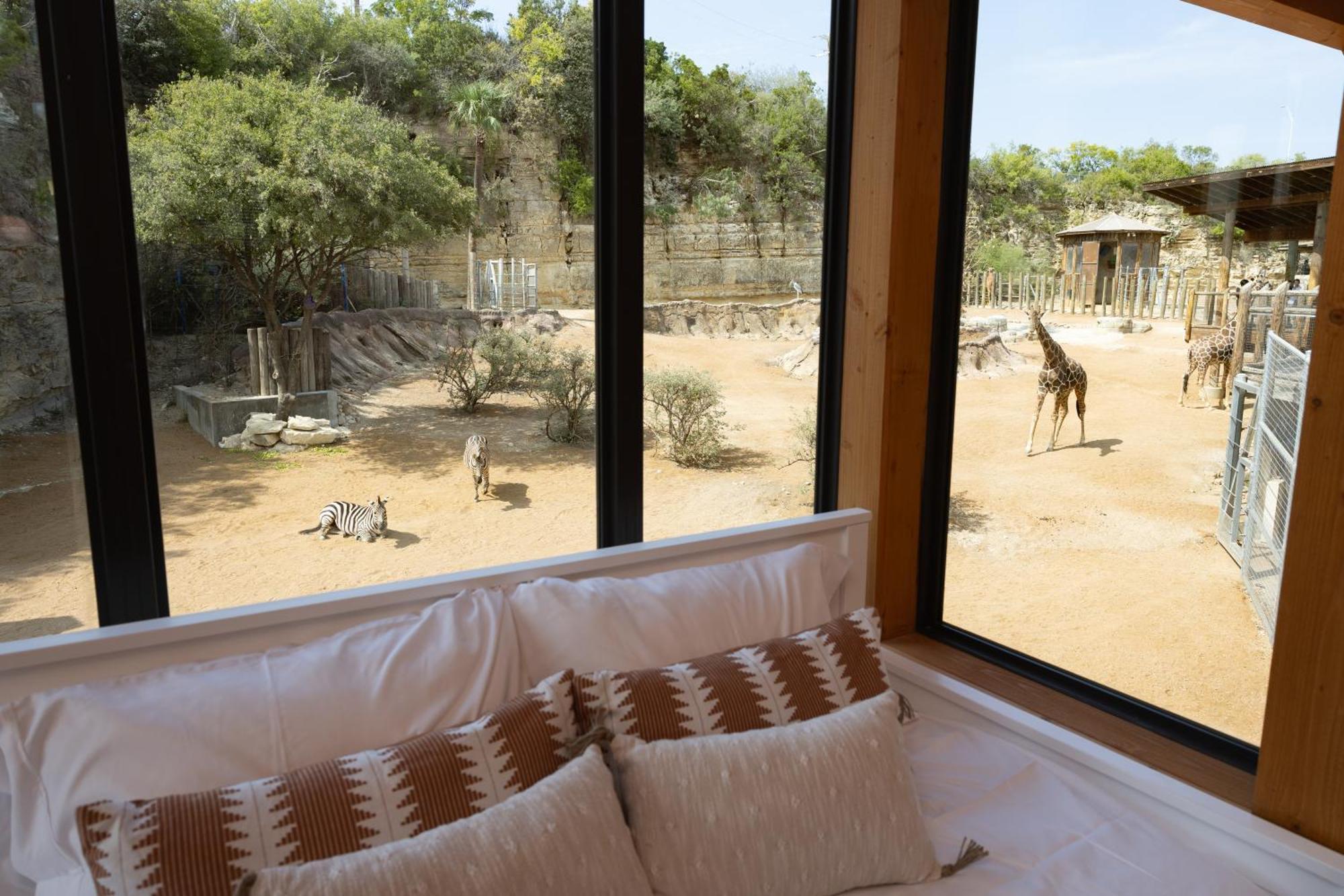 San Antonio Zoo - Spekboom Giraffe Lodge Exterior foto